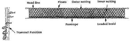 Trammel net including an illustration of the pockets that are
