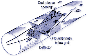 gridforflatfishcanada1998(2).gif