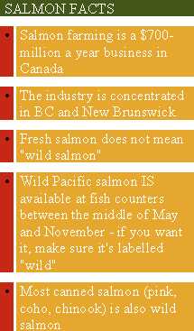 salmonfactscbs.jpg