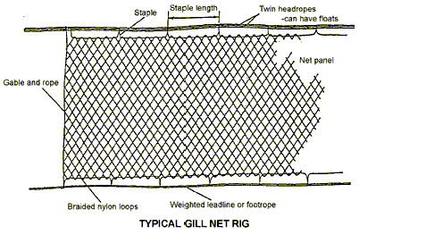Gill & Trammel Net